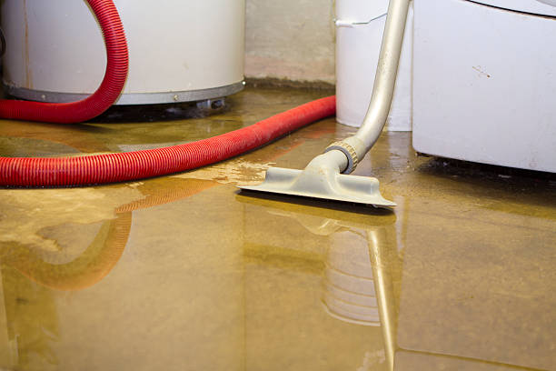 Best Mold removal after water damage  in Waverly, IL