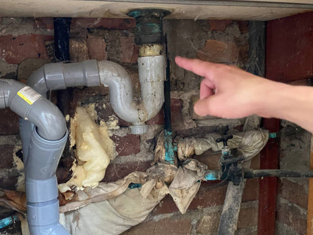 Best Sewage cleanup and water damage restoration  in Waverly, IL